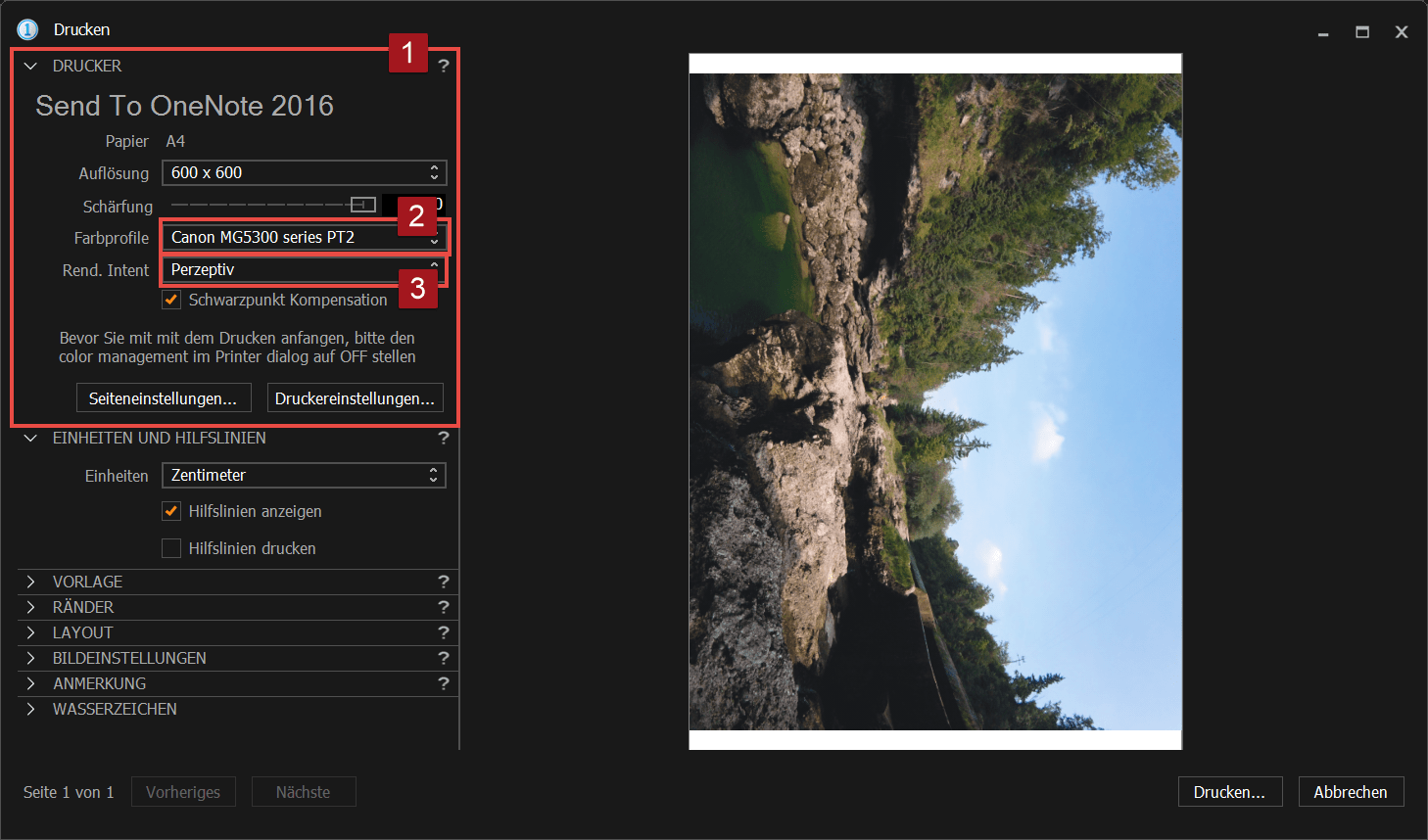 Datei drucken in Adobe Photoshop CC Capture One Pro - Einstellungen